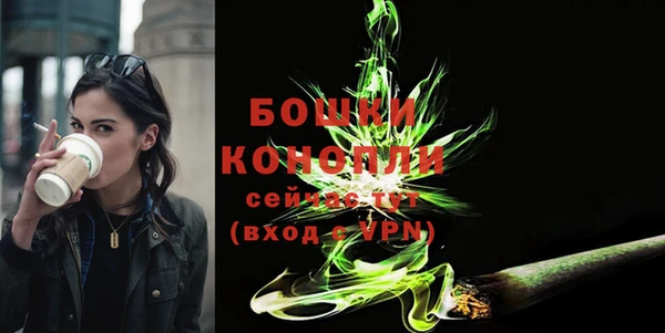 молекула духа Аркадак