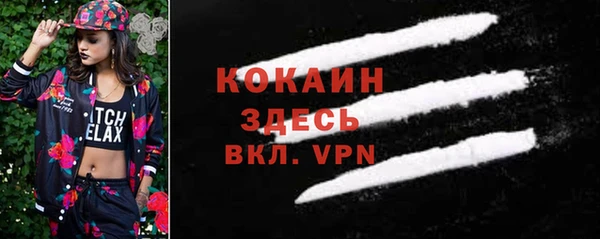 эйфоретик Арсеньев