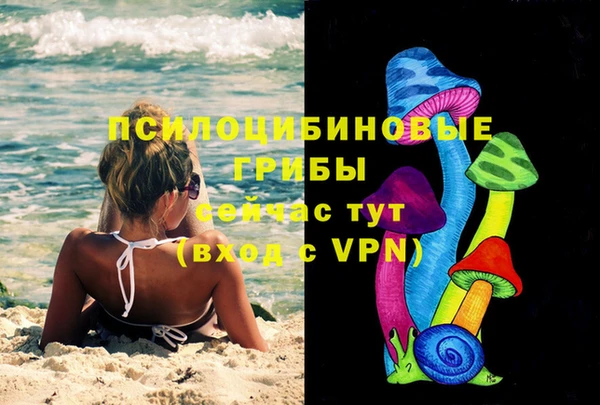 эйфоретик Арсеньев