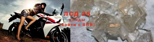 эйфоретик Арсеньев