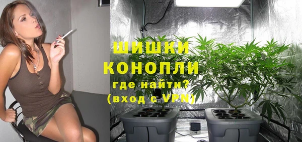 молекула духа Аркадак