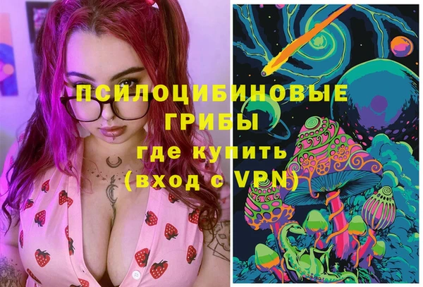 молекула духа Аркадак