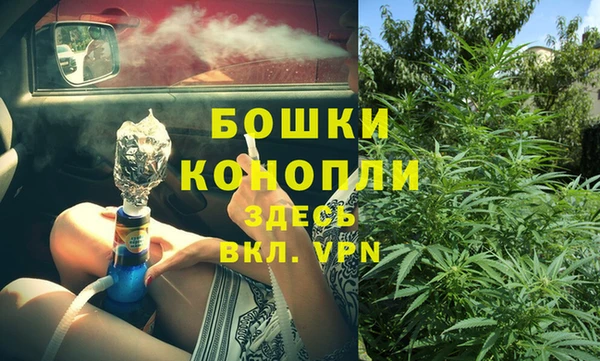 эйфоретик Арсеньев