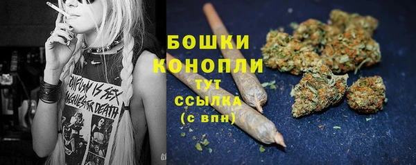 эйфоретик Арсеньев