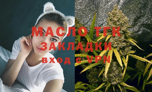 эйфоретик Арсеньев